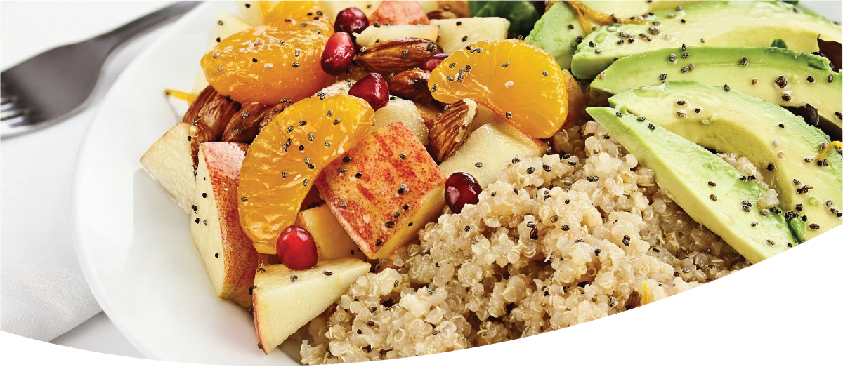 Plant Based Protein Blog